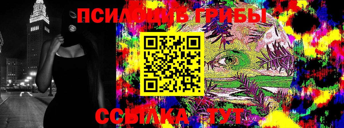 закладки  Псилоцибиновые грибы MAGIC MUSHROOMS  Верхний Уфалей  Вход с VPN  Псилоцибиновые грибы Psilocybe 